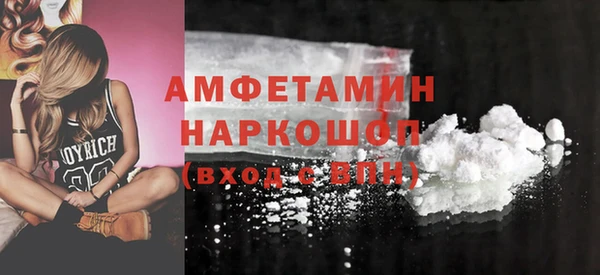 индика Бородино