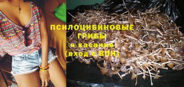 бошки Верхний Тагил