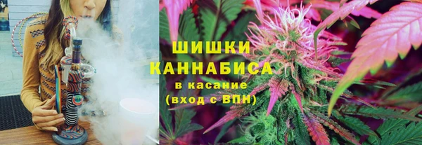 дмт Верея