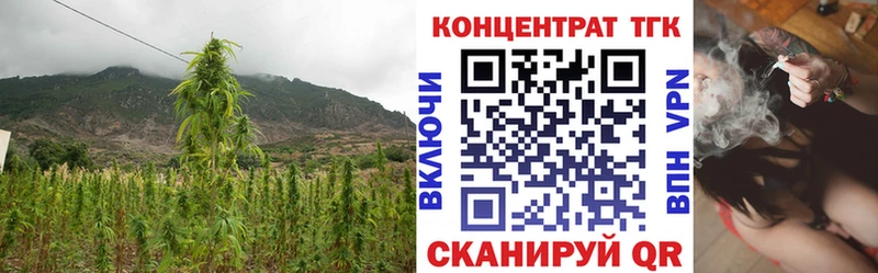наркошоп  ссылка на мегу сайт  Дистиллят ТГК вейп с тгк  Гвардейск 