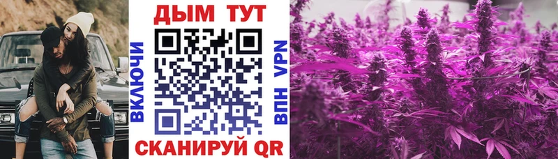 Шишки марихуана THC 21%  Гвардейск 